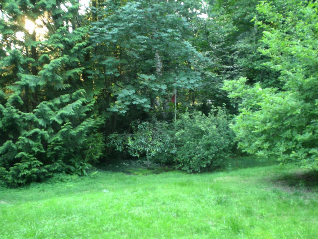 Davis Brook Retreat Bed & Breakfast Sechelt Bagian luar foto