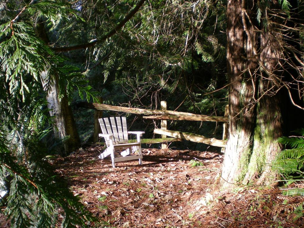 Davis Brook Retreat Bed & Breakfast Sechelt Bagian luar foto