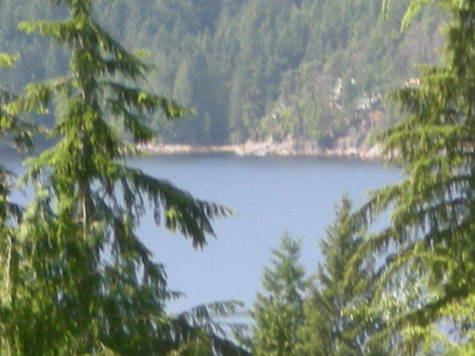 Davis Brook Retreat Bed & Breakfast Sechelt Bagian luar foto