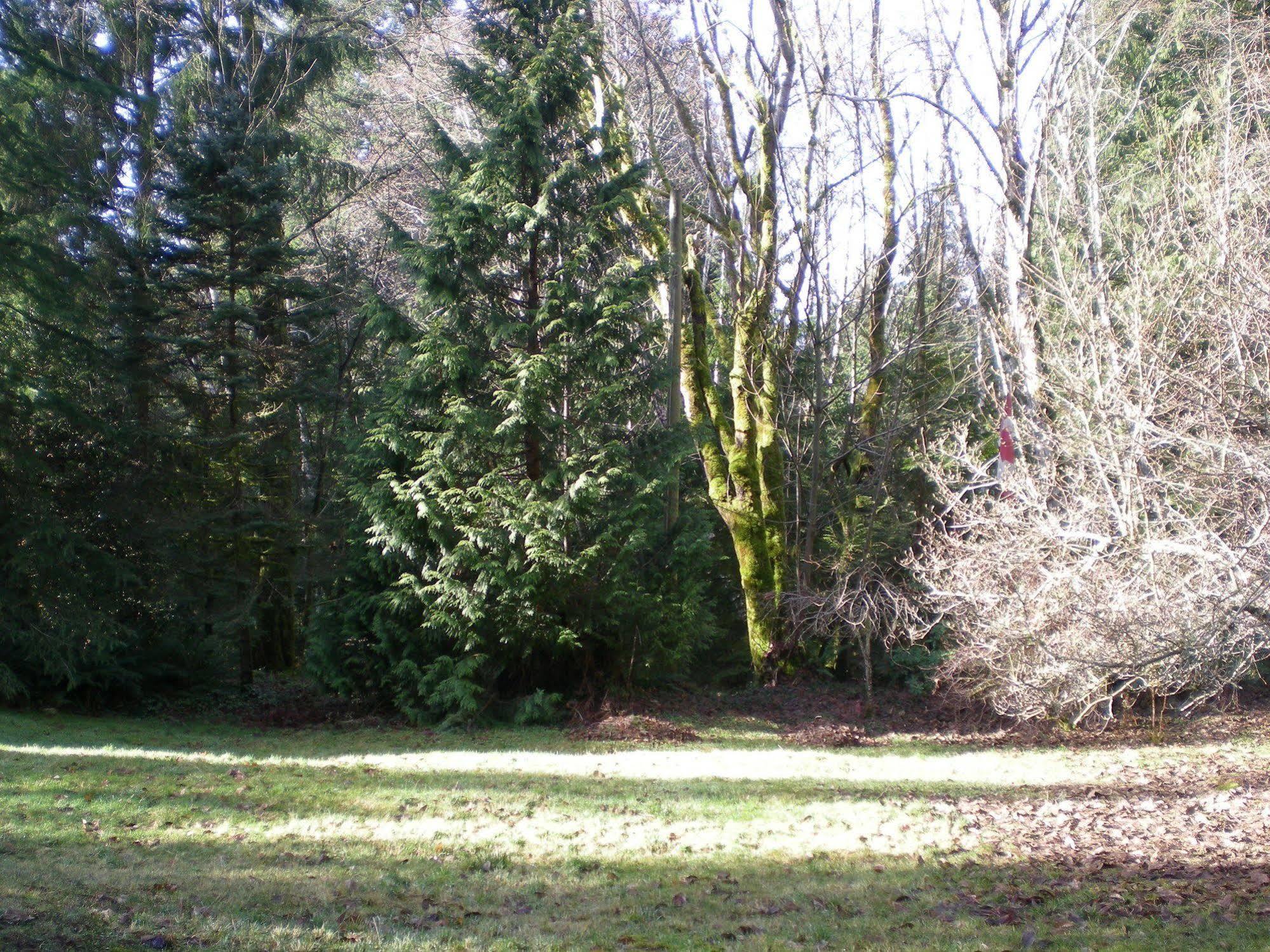 Davis Brook Retreat Bed & Breakfast Sechelt Bagian luar foto
